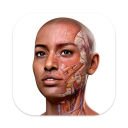 sibapp